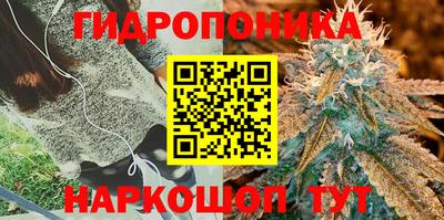 марихуана Малгобек