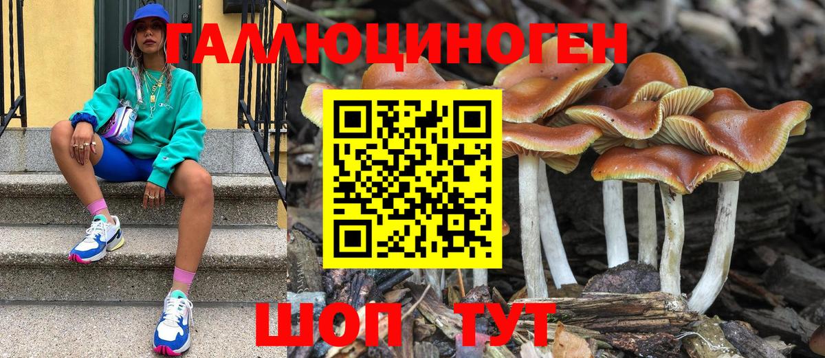 Галлюциногенные грибы GOLDEN TEACHER Будённовск