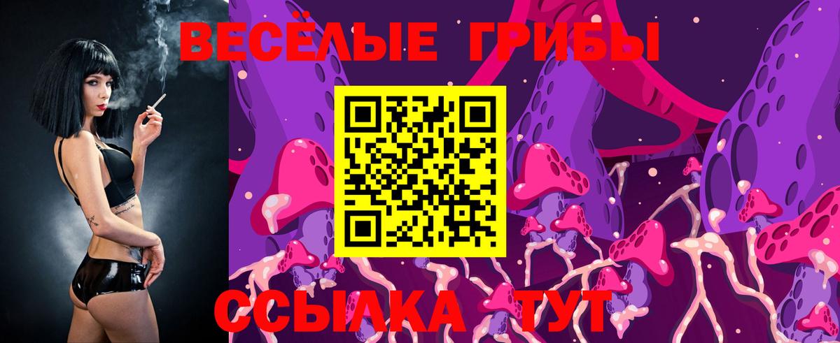 Будённовск  Галлюциногенные грибы GOLDEN TEACHER  Вход с VPN 