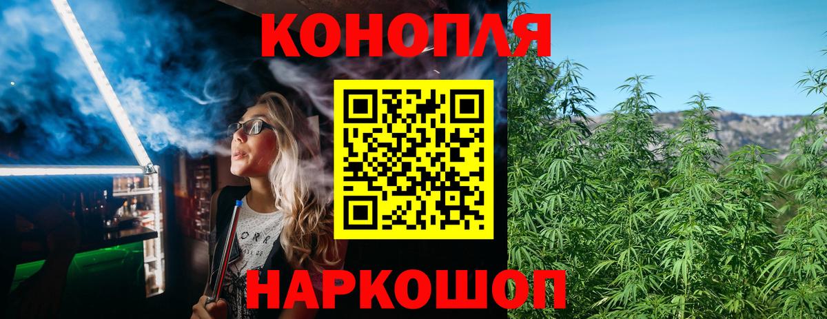 Бошки марихуана ГИДРОПОН Будённовск